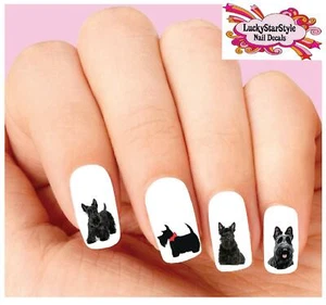 Waterslide Dog Nail Decals Set of 20 - Scottish Terrier Scottie Assorted - Picture 1 of 1