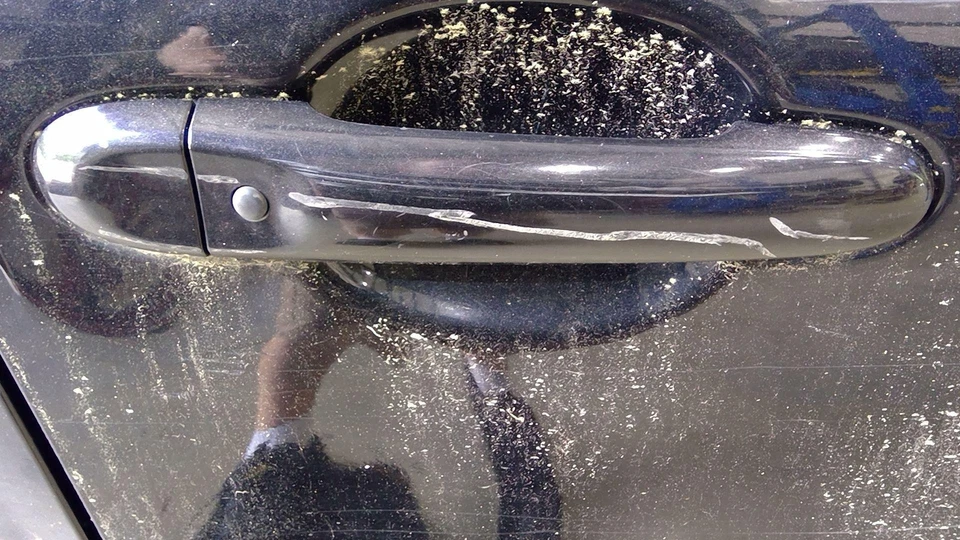 Conjunto de manija de puerta delantera derecha lado pasajero Nissan Juke 11-17 negro B20 OEM Foto 1 de 1