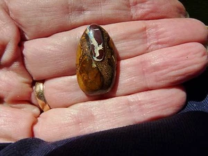 Koroiot Boulder Opal - Anhänger - Cabochon * schöne Feuernuss * 20 cts. - Bild 1 von 4
