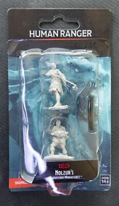 Human Ranger - Nolzurs Marvelous Miniatures - Dungeons and Dragons #8N - Picture 1 of 1
