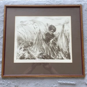 Joan Purcell The Boy In The Field Lithograph Wit Frame/ Artist Bio - Picture 1 of 5