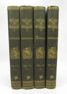 1890s 4-Volume Set Nature's Wonderland: Short Talks on Natural History, Illus. - Picture 1 of 22