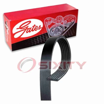 盖茨 Micro-V 蛇形皮带适用于 2002 - 2009 雪佛兰开拓者 4.2L L6 毫升 — 第 1/4 张图片