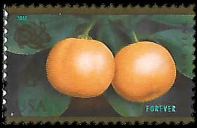 US #4492 MNH 2010 Year Rabbit - Image 1 of 1