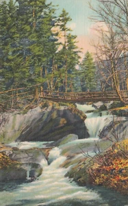 White Mountains NH, The Basin, Franconia Notch, Souvenir Vintage Postcard - Picture 1 of 2
