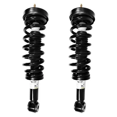 For Ford F-150 2009-2013 Unity 2-11304-001 Front Complete Strut Assemblies Foto 1 de 2