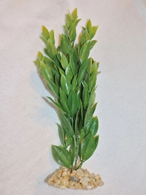 8-9 pulgadas. PEQUEÑO SPRAY DE MAR Inalámbrico Planta de Plástico Suave, Base de Piedra, Cuarenta Lejos Inferior Foto 1 de 3