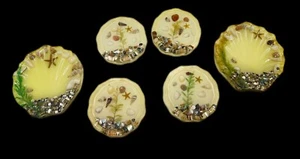 VTG Lucite Abalone Starfish Coasters & Trinket Dishes Set of 6 MCM Unique USA - Picture 1 of 24