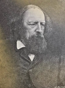 1883 Poet Alfred Lord Tennyson illustrated - Picture 1 of 7