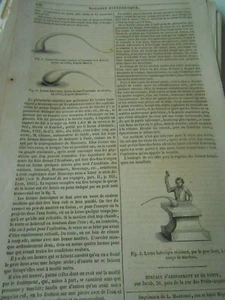 Larmes Bataviques 1847 Gravure Print Article - Picture 1 of 1