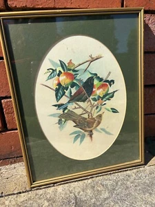 Vintage Original Art Bird & Fruit Tree Painting - Picture 1 of 7