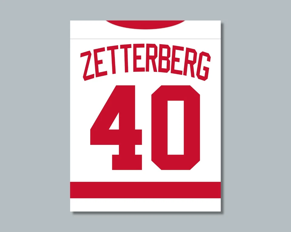 HENRIK ZETTERBERG Detroit Red Wings comparable Photo Picture 8x10 11x14 16x20 JZ - Image 1 of 4