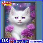 Paint By Numbers Kit On Canvas Diy Oil Art White Cat Picture Home Decor 40x50cm 