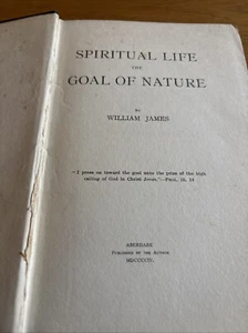 William James Esoteric Spiritual Life The Goal Of Nature 1st 1904 Ex Lib - Picture 1 of 3