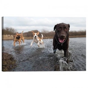 Cadre D'Impression Sur Toile Chien Labrador Retriever Et Amis S'Amusent Dans - Imagen 1 de 1