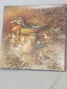 Vtg Springbok Puzzle “Family Outing” Duck Cabin Decor 500 pc - Complete & Exc - Picture 1 of 2