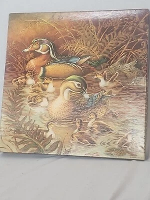 Vtg Springbok Puzzle “Family Outing” Duck Cabin Decor 500 pc - Complete & Exc - Image 1 of 2