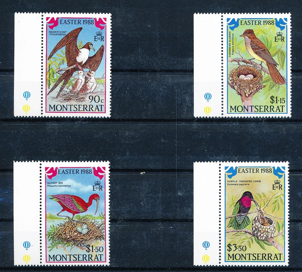 LS65656 Montserrat 1988 easter fauna nature birds edges MNH - Image 1 of 1
