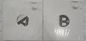 ANIMALS AS LEADERS The Joy Of Motion 2x Test Press Vinyl Schallplatte - Abasi Metis - Bild 1 von 5
