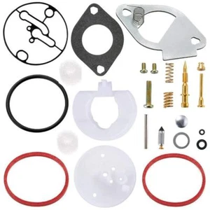 Kit Ricostruzione Carburatore Master Briggs & Stratton Revisione Nikki Carbs 796184 NUOVO - Foto 1 di 1