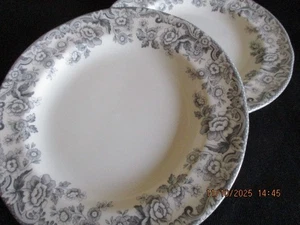 Spode Delamere Rural Grey diametro 19 cm piatti laterali x 2 - Foto 1 di 2