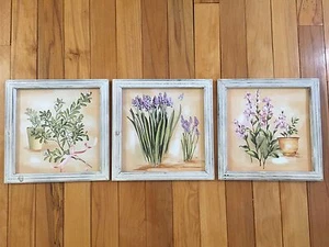 Set Of 3 Kitchen Herbs Canvas Prints With White-Wash Pine Frames Dinning Art - Picture 1 of 5