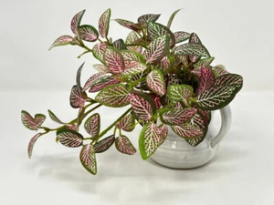 7" kleine künstliche PINK FITTONIA NERV Kunstseide Pflanze getopft in weiß 2-Griff - Bild 1 von 10