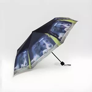 Border Collie Umbrella | Pop Open Handbag Size Umbrella - Picture 1 of 2