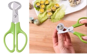 Tijeras Inoxidable Para Abrir Huevos de Codorniz Paloma Herramienta Cocina Corte - Imagen 1 de 2