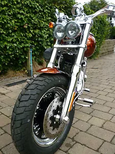 HARLEY DAVIDSON FXDFSE FAT BOB PROTETTORE FARI 1 PEZZO, MADE IN UK - Foto 1 di 3