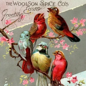 Woolson Spice Lion Coffee Victorian Ad Trade Card Easter Birds Pink Dogwood Tree - Picture 1 of 3