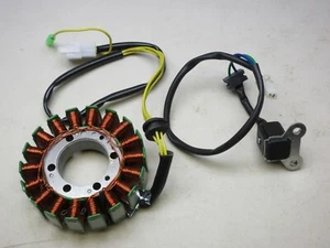 MAGNETO ESTATOR & PICK UP HAMMERHEAD 250 GT GTS SS JOYNER SANDVIPER 250 BUGGY - Imagen 1 de 8