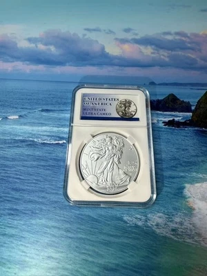 American Silver Eagle 2025 $1 1 oz brillante sin circular Foto 1 de 3