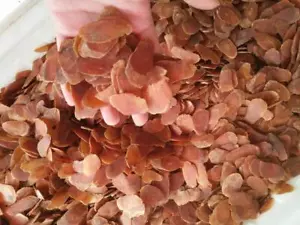 250 g/500 g de raíz de ginseng coreano, ginseng rojo, Panax ginseng rodajas más grandes - Imagen 1 de 2