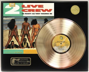 2 Live Crew - As Nasty As They Wanna Be Gold LP Record Plaque Display - Picture 1 of 3