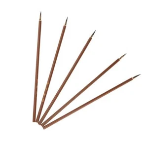 Professional Chinese Brush for Coloring Painting and Practicing Calligraphy - Picture 1 of 15