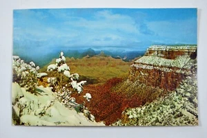 Vintage 1957 Grand Canyon National Park Arizona AZ Snowfall Postcard - Picture 1 of 5