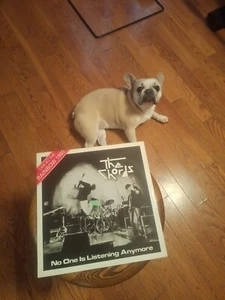 The Chords No One Is Listening Anymore Vinyl Lp Phza-1 - Picture 1 of 9