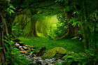 Photo Wall Mural-Deep Jungle-(5337)-Non Woven-Wallpaper-Tropical Green Trees Xxl