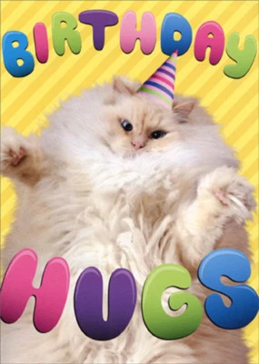 AVANTI PRESS Birthday Hugs Cat Funny Birthday Card - Greeting Card by Avanti