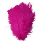 5/20/100pcs beautiful natural ostrich feather 6-24 inches / 15-60 cm 13 colors