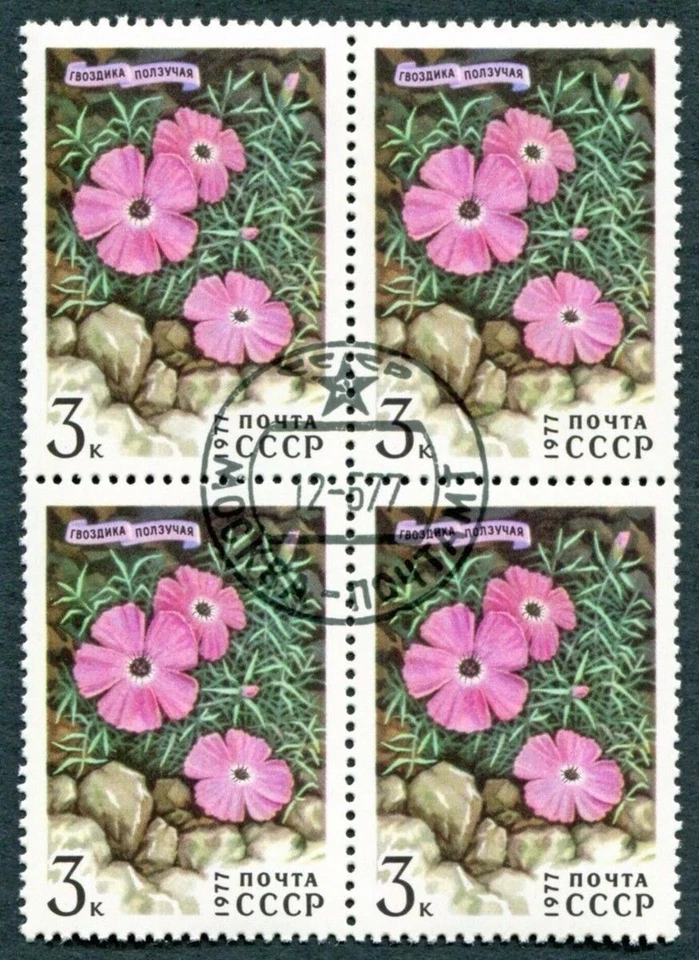 RUSSIA CCCP 1977 3k SG4633 used FG NH Flowers Pinks a ##W38 - Image 1 of 1