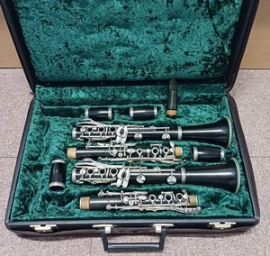 Juego de Clarinete Karl Hammerschmidt B/A Reformado Boehm con Estuche - Imagen 1 de 10
