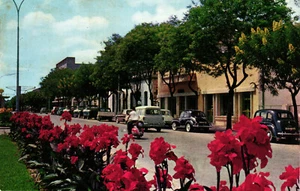 Nova Lisboa, eine Straße, Autos, Angola, alte Postkarte - Bild 1 von 2