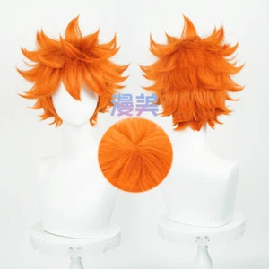 ¡¡Haikyuu!! Peluca Shoyo Hinata Periwig Corta Moda Naranja Regalo Juegos con disfraces - Imagen 1 de 5