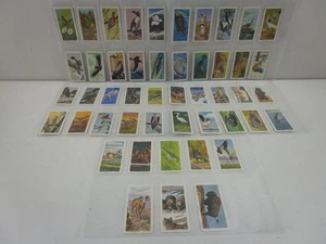 BROOKE BOND (CANADA) - NORTH AMERICAN WILDLIFE IN DANGER - FULL SET OF 48 CARDS - Picture 1 of 11