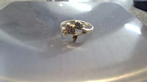 Black Hills Gold Ring 10K Tri-color Gold 1.5g Size:5 (TPS036338) - Picture 1 of 1