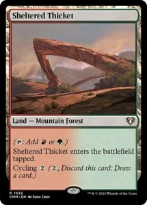 *MtG: 2x SHELTERED THICKET - Commander Masters Rare - magicman-europe* - Bild 1 von 1