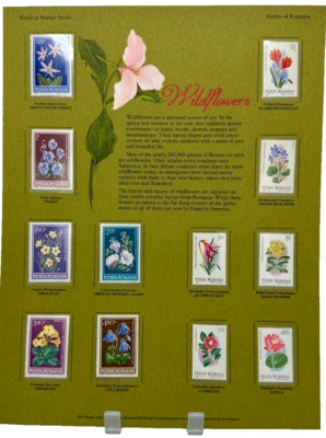 Série World of Stamps Romênia Flores Silvestres Autênticas 12 Selos Colecionáveis - Imagem 1 de 4