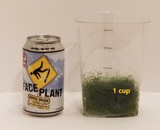 1 Cup of Macro Algae Chaetomorpha Chaeto for Marine Aquarium Refugium